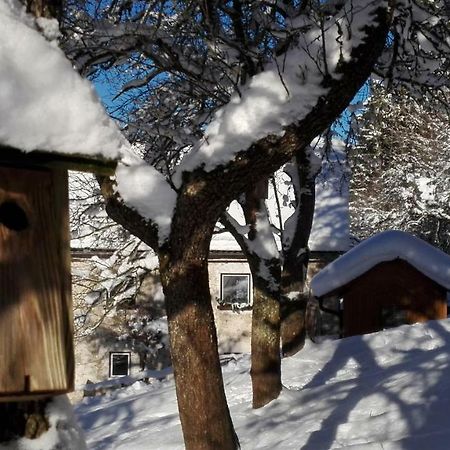 Ferienhaus Hirschnest Sankt Pankraz Zewnętrze zdjęcie