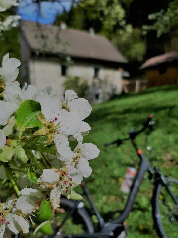 Ferienhaus Hirschnest Sankt Pankraz Zewnętrze zdjęcie