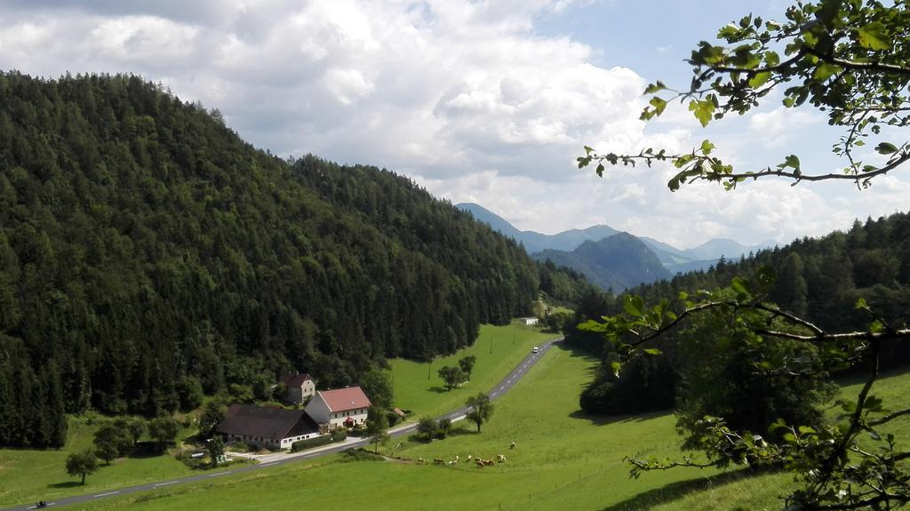 Ferienhaus Hirschnest Sankt Pankraz Zewnętrze zdjęcie