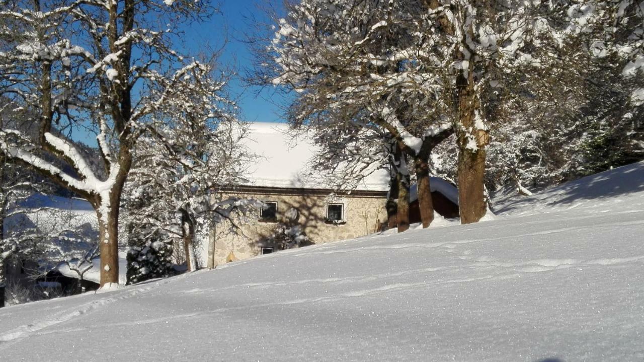Ferienhaus Hirschnest Sankt Pankraz Zewnętrze zdjęcie