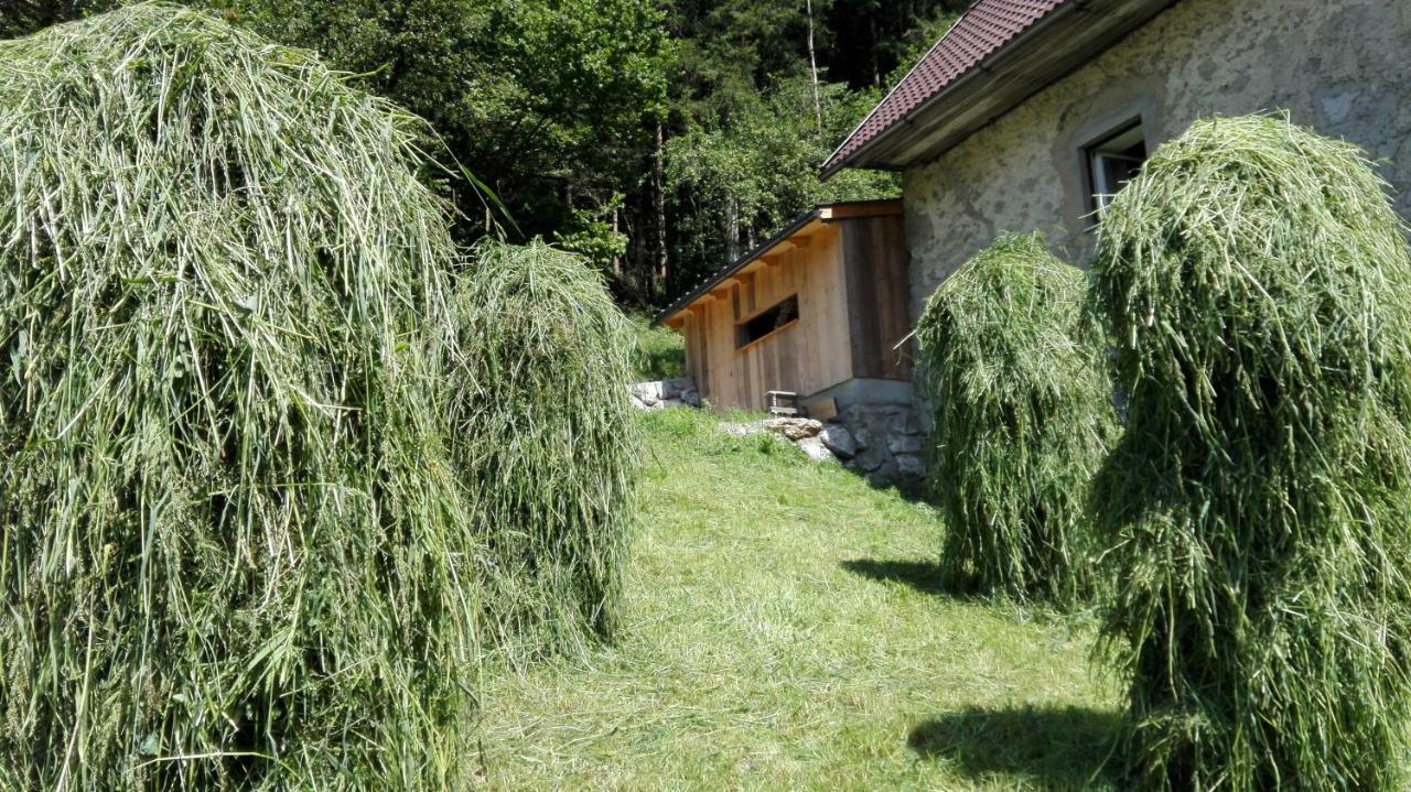 Ferienhaus Hirschnest Sankt Pankraz Zewnętrze zdjęcie